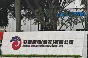 安琪酵母（崇左）有限公